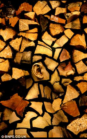 Реалистичный боди-арт, художник Йоханнес Стоеттер ,под фрукты, животных, 