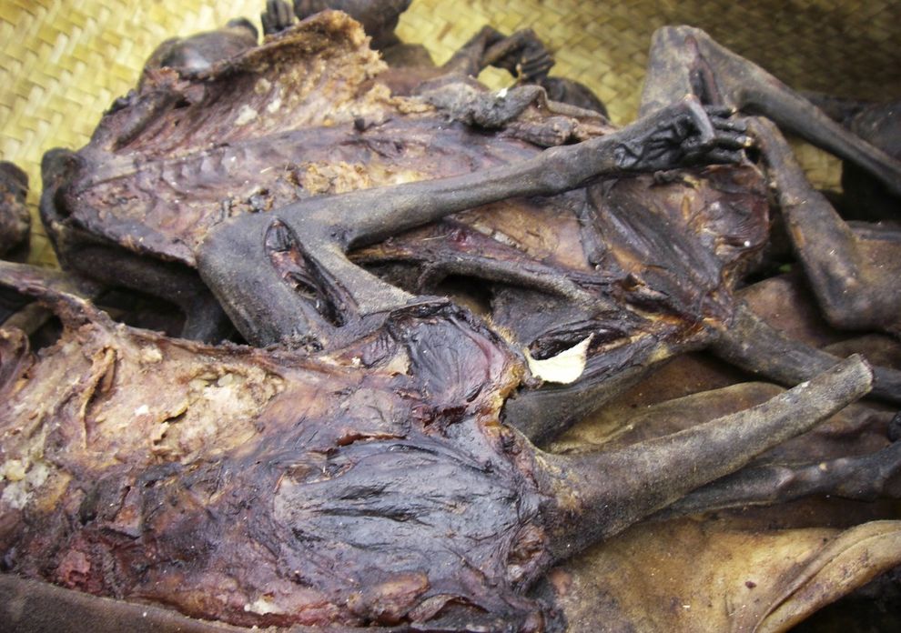 Жуткие, блюда, страны, самые, еда, продукты, мясо собаки, мясо лемура,тухлые яйца, черепахи,эмбрионы, китай