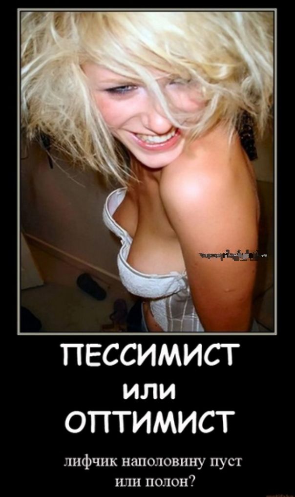 Приколы, смешные, картинки, прикольные,юмор