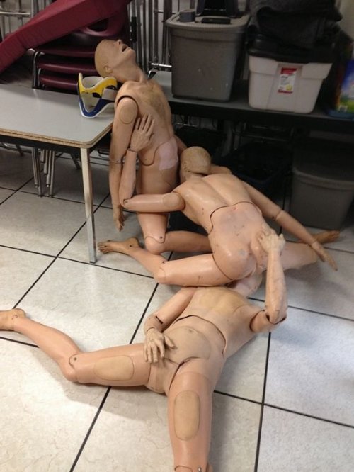 Приколы, смешные, картинки, прикольные,юмор