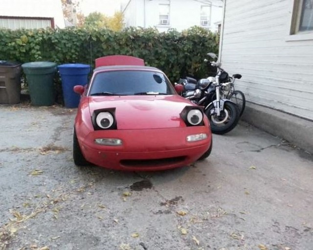 Позитив,юмор,смешно,прикол,картинки