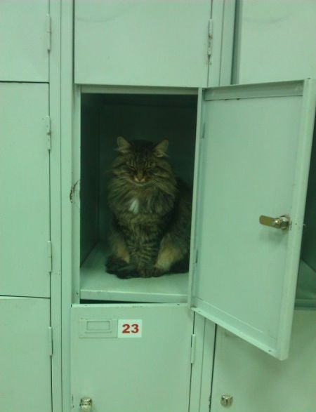 Позитив,юмор,смешно,прикол,картинки