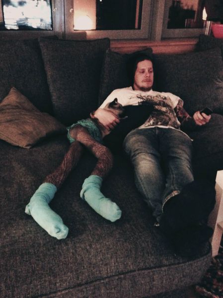 Длинноногие, коты в колготках, новый, интернет-мем