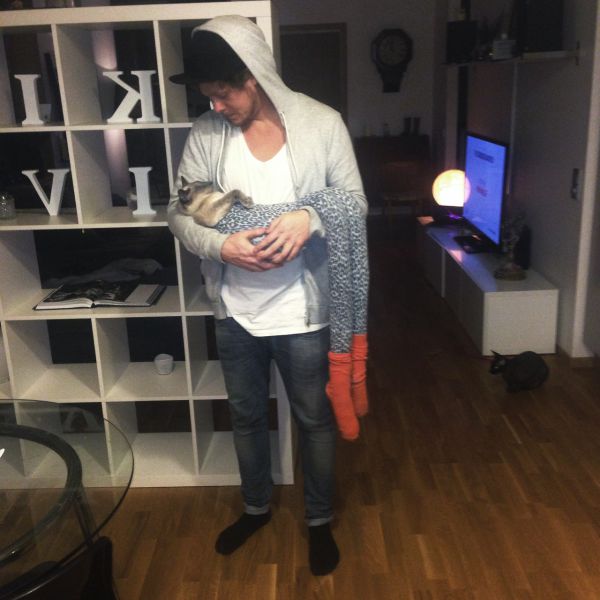 Длинноногие, коты в колготках, новый, интернет-мем