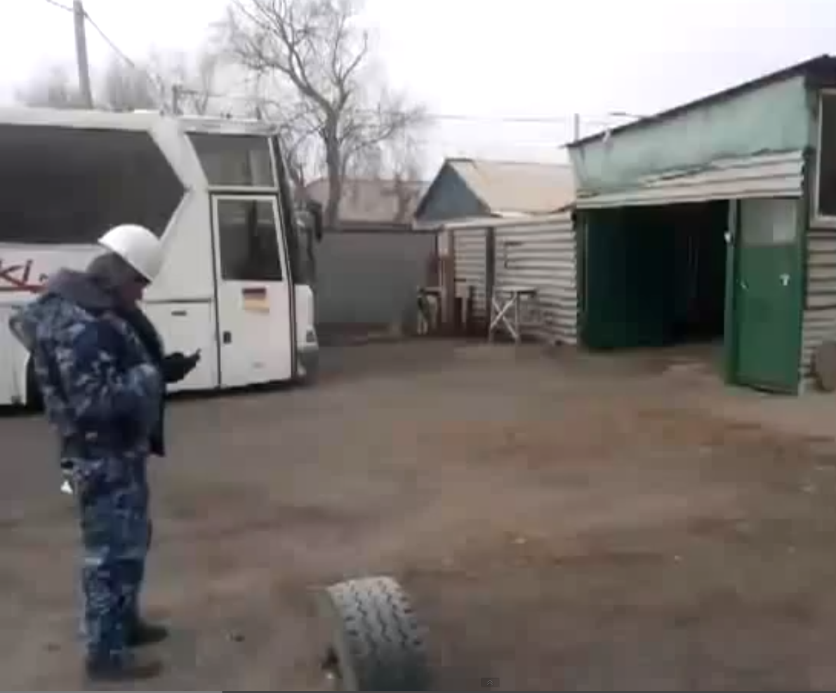 Собака, танцует, под, modern talking,в Казахстане, Караганде, в Михайловке