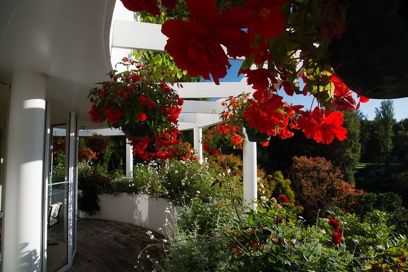 Maple Glen,сад ,Новая Зеландия