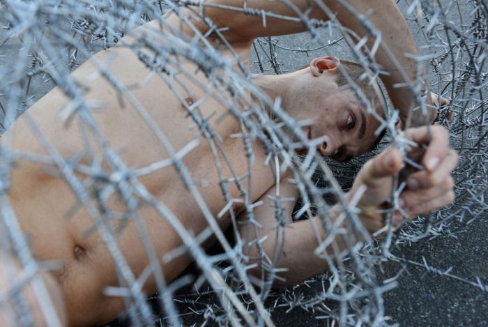 туша, Петр Павленский, акция, законодательство