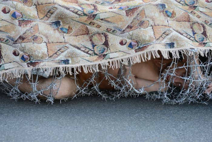 туша, Петр Павленский, акция, законодательство