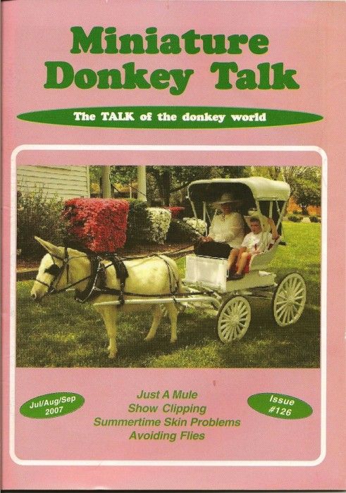 Необычные, нелепые, названия, журналы, Девушки и трупы 