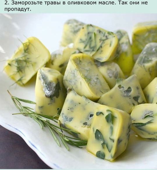 Способы, использование. форм для льда, в холодильнике, хранение, рецепты