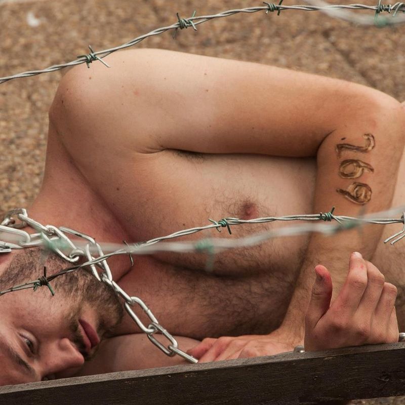 В Чехии, защитникам животных, клеймо, раскаленным железом, число 269