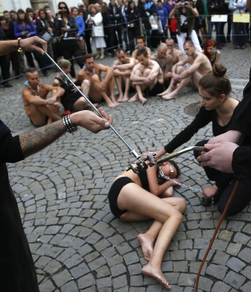 В Чехии, защитникам животных, клеймо, раскаленным железом, число 269