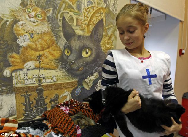 Кошачьи кафе, cat cafe, кошки, коты, кафе, еда