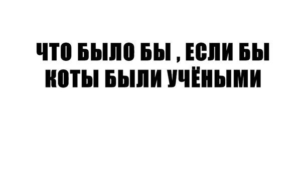 Что, было бы, коты, ученые, смешное, юмор