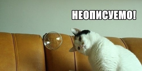 Что, было бы, коты, ученые, смешное, юмор