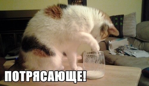 Что, было бы, коты, ученые, смешное, юмор