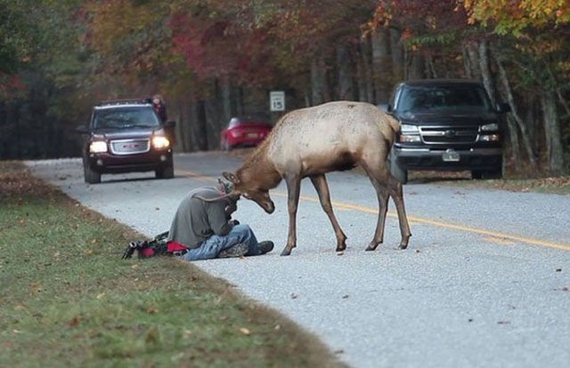 Сильные, интересные, больше чем фотографии, вместо тысячи слов