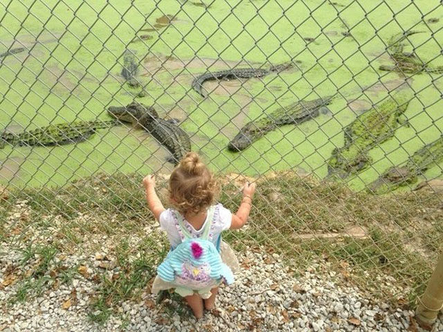 Сильные, интересные, больше чем фотографии, вместо тысячи слов