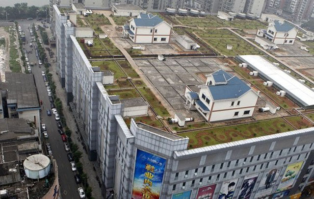 Сильные, интересные, больше чем фотографии, вместо тысячи слов