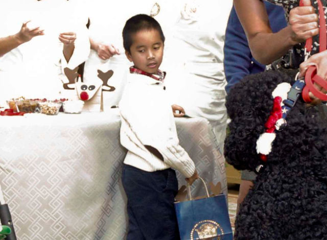 Собака, Мишель Обама, Санни,Sunny, прыгнул, на девочку, в Белом доме