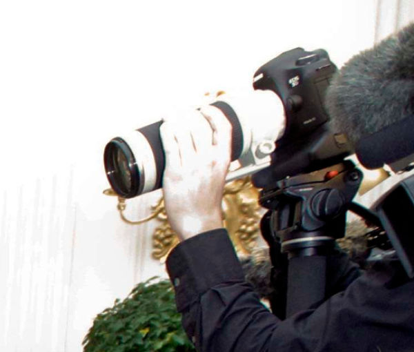 Собака, Мишель Обама, Санни,Sunny, прыгнул, на девочку, в Белом доме