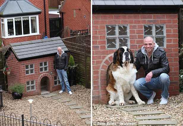 Дом для пса, элитная конура, собака