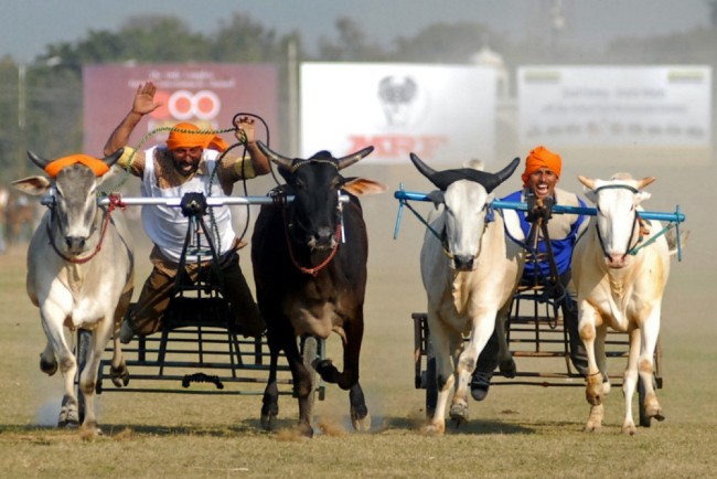 Сельские олимпийские игры в Индии