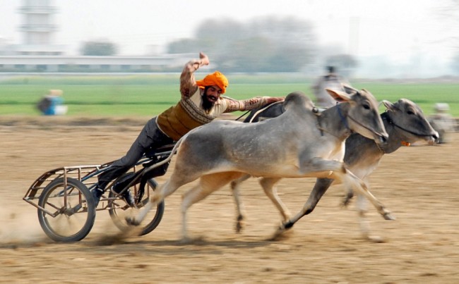 Сельские олимпийские игры в Индии