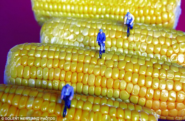 Рабочие миниатюры, Тони Полинни,маленькие рабочие