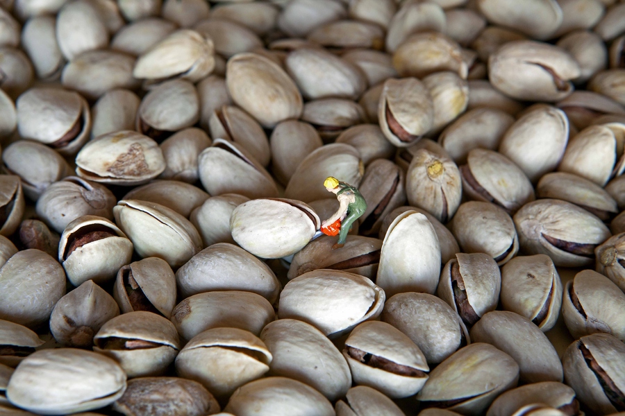 Рабочие миниатюры, Тони Полинни,маленькие рабочие