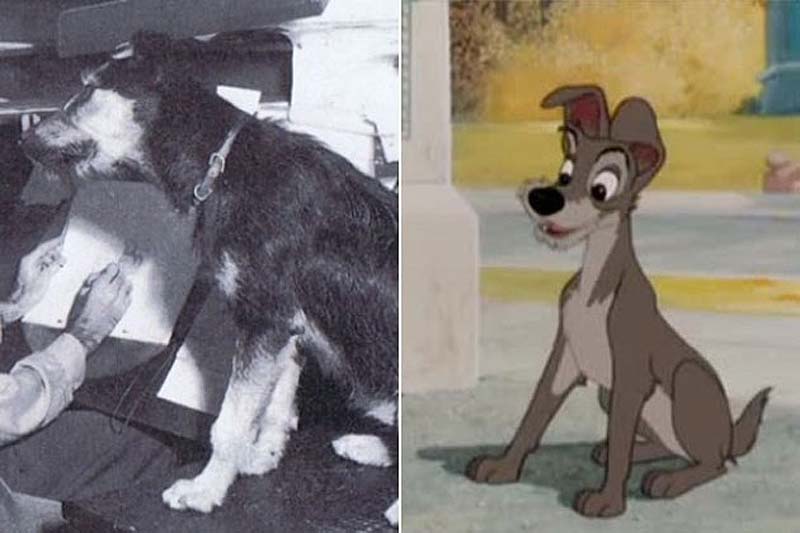 прототипы, дисней, мультфильмы