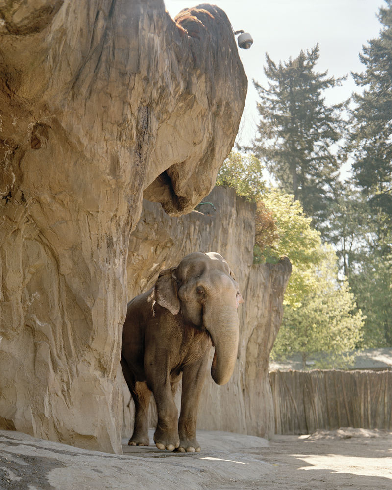 Жители, Портленд, фотограф, Кирк Криппенс, Kirk Crippens