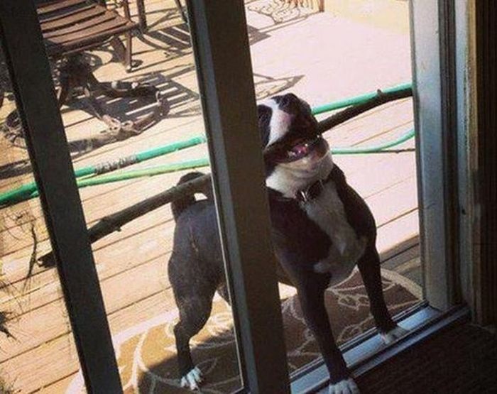 ты делаешь всё не так, люди которые делают всё неправильно, лузеры неудачники