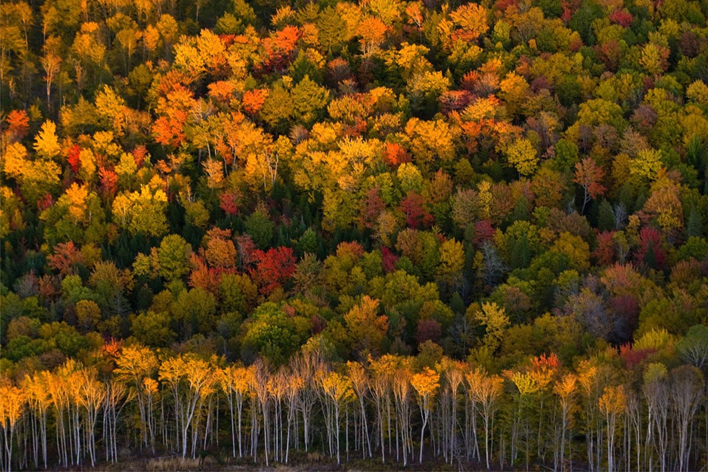 Краски осени