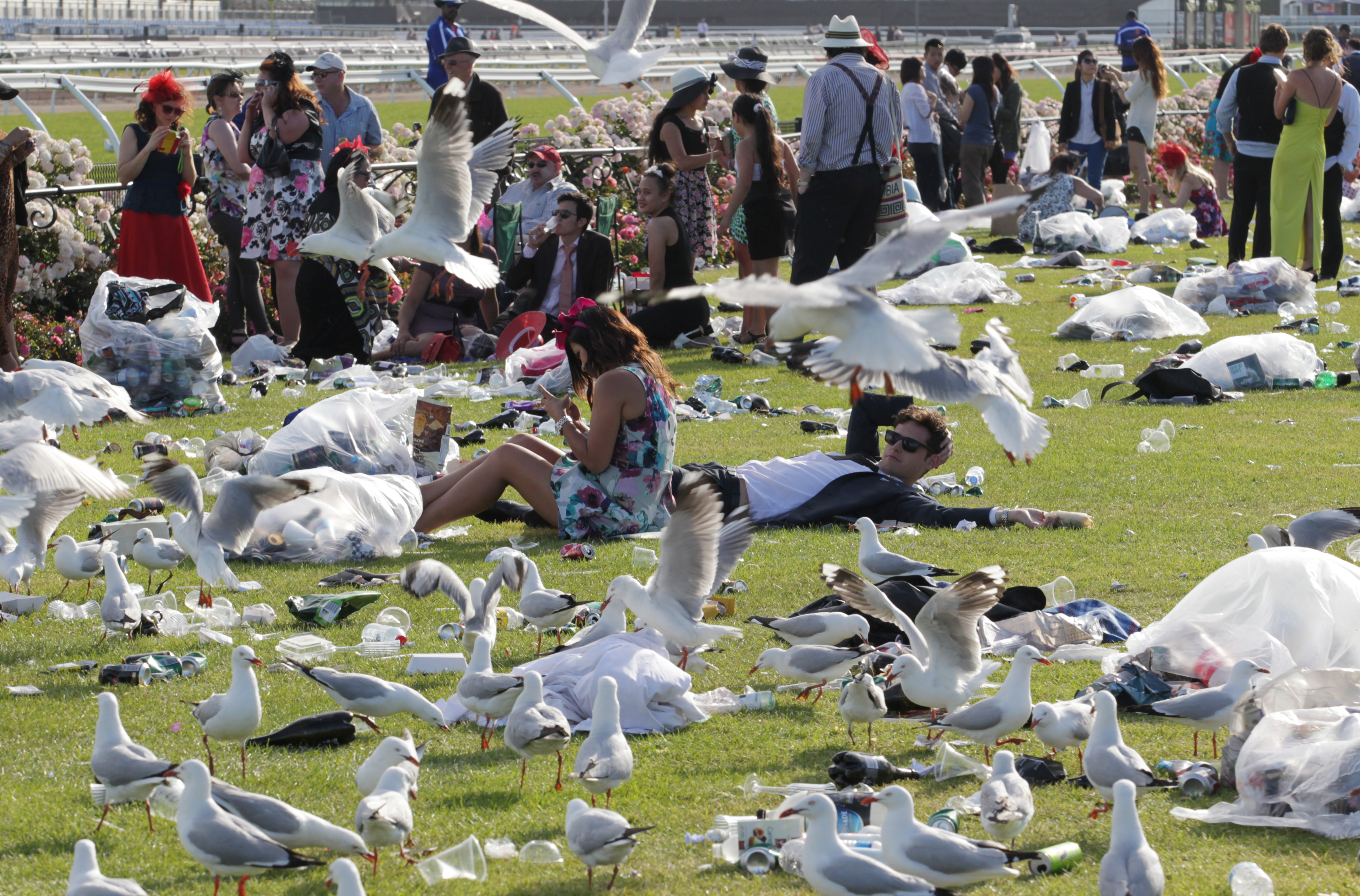 Мода на поле Fashions On The Field  Кубок Мельбурна 2013,  Melbourne Cup 