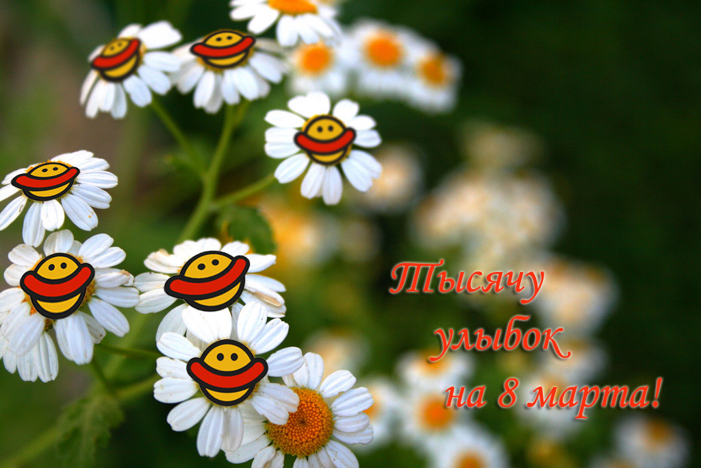 поздравления,смешное,открытки,картинки,фото,видео