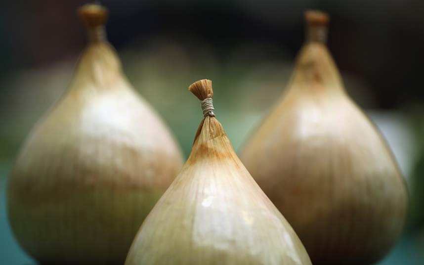 необычные находки, таможня 