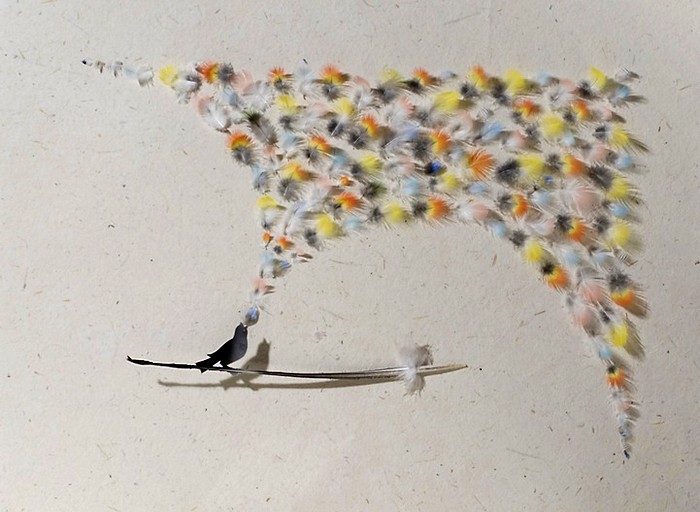 Перья-источник вдохновения Криса Мэйнарда Крис Мэйнард, перьевое искусство, птицы из перьев