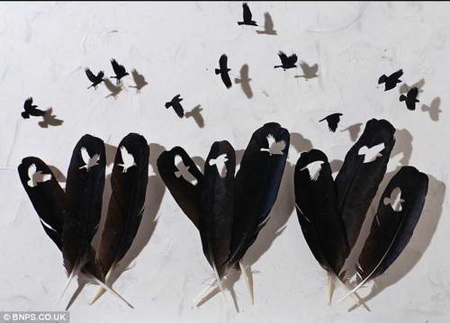 Перья-источник вдохновения Криса Мэйнарда Крис Мэйнард, перьевое искусство, птицы из перьев