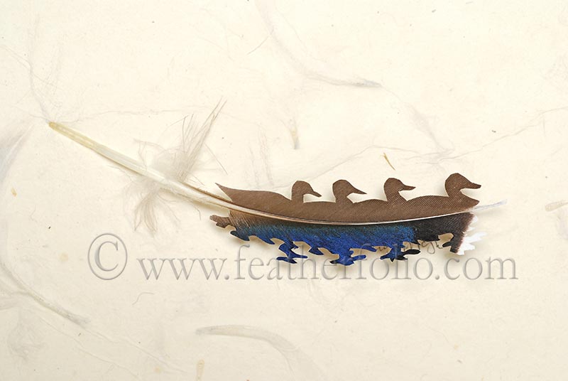 Перья-источник вдохновения Криса Мэйнарда Крис Мэйнард, перьевое искусство, птицы из перьев