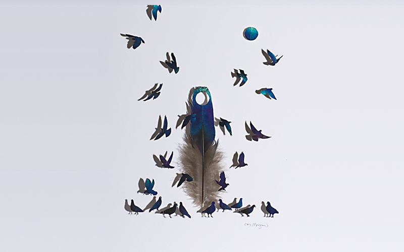 Перья-источник вдохновения Криса Мэйнарда Крис Мэйнард, перьевое искусство, птицы из перьев