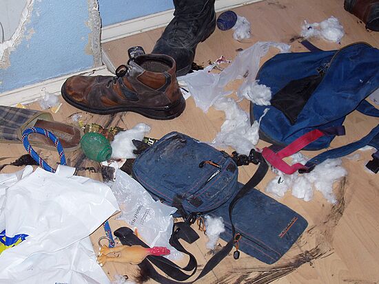 лабрадоры, грызут, шкодничают