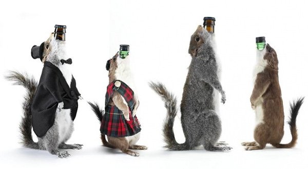 Бессмысленно крепкие сорта пива самые крепкие сорта пива, крепкое пиво