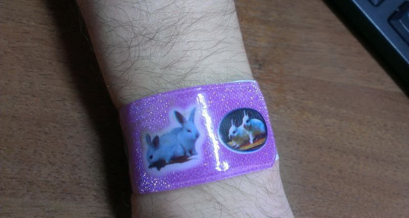 Китайский браслет, Заяцик, 2011, кусок рулетки