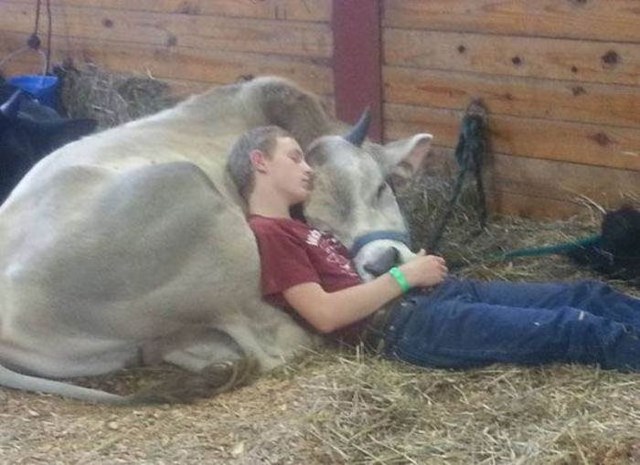 эмоциональные снимки, трогательные фотографии 