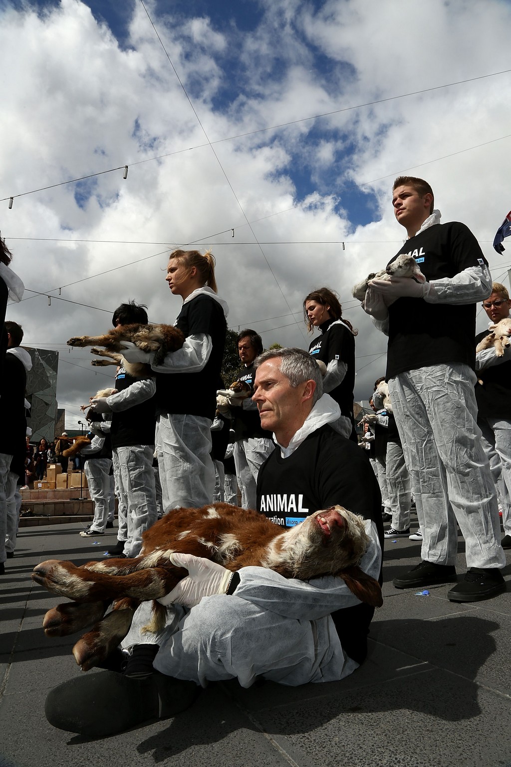 Защитники прав животных провели акцию с участием 200 туш мертвых животных Акция, защитники животных, участие, 200, мертвые, активисты, Мельбурн, Австралия, надгробие, Площадь Федерации