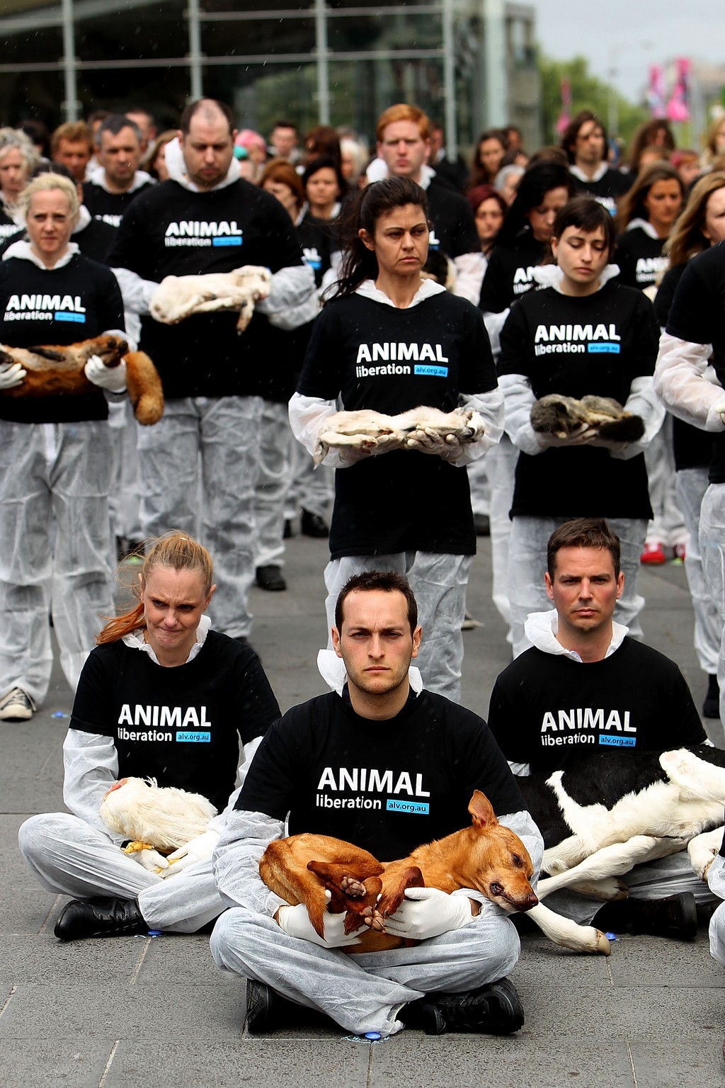 Защита прав животных