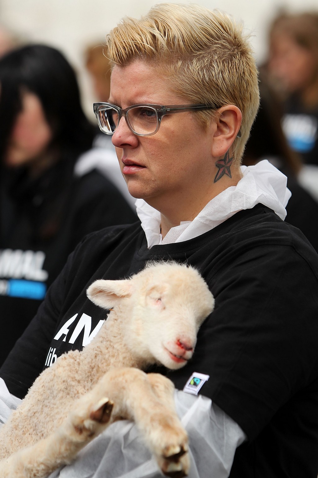 Защитники прав животных провели акцию с участием 200 туш мертвых животных Акция, защитники животных, участие, 200, мертвые, активисты, Мельбурн, Австралия, надгробие, Площадь Федерации