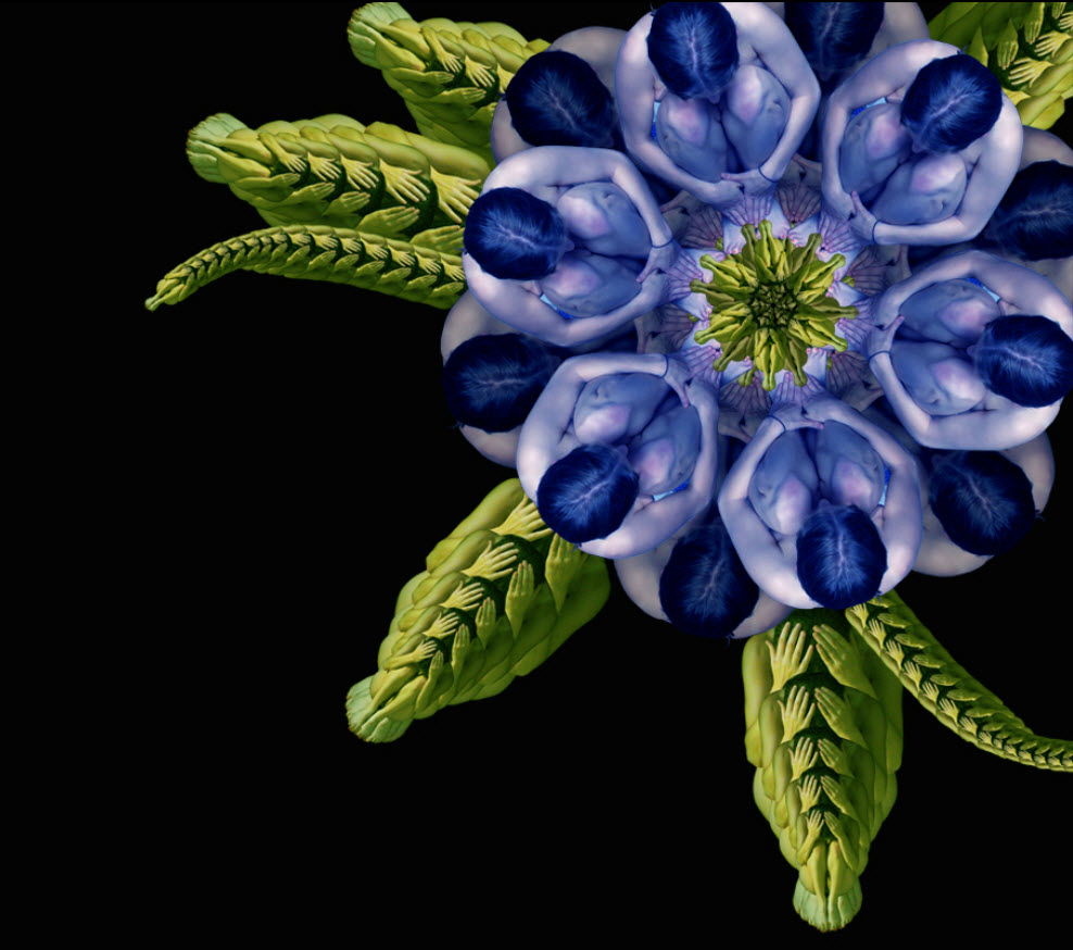 Сесилия Уэббер, картины из тел