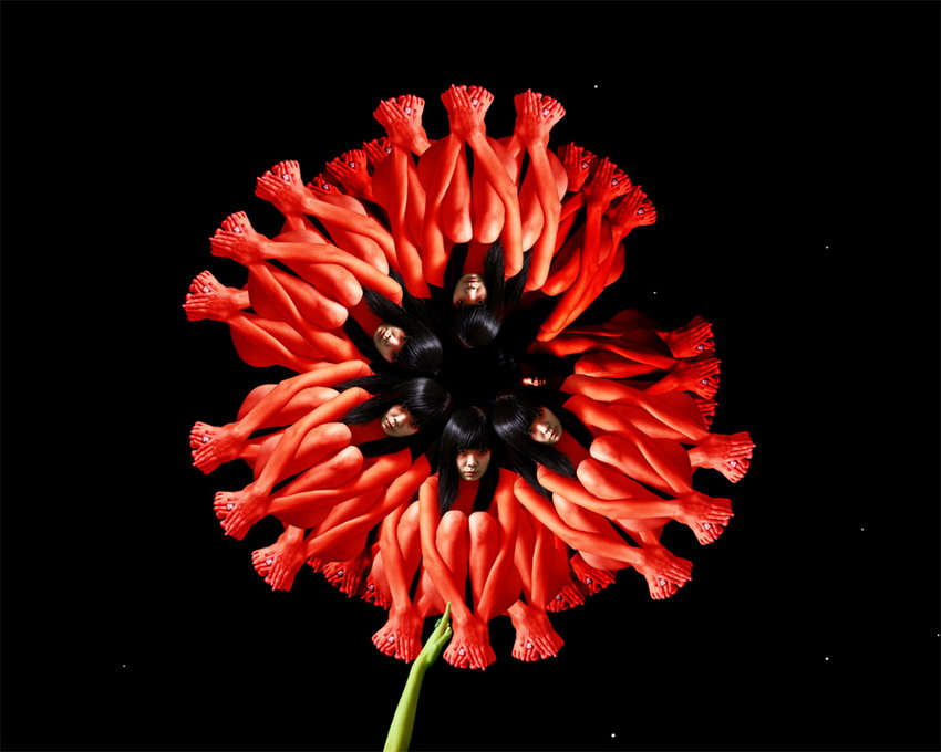 Сесилия Уэббер, картины из тел